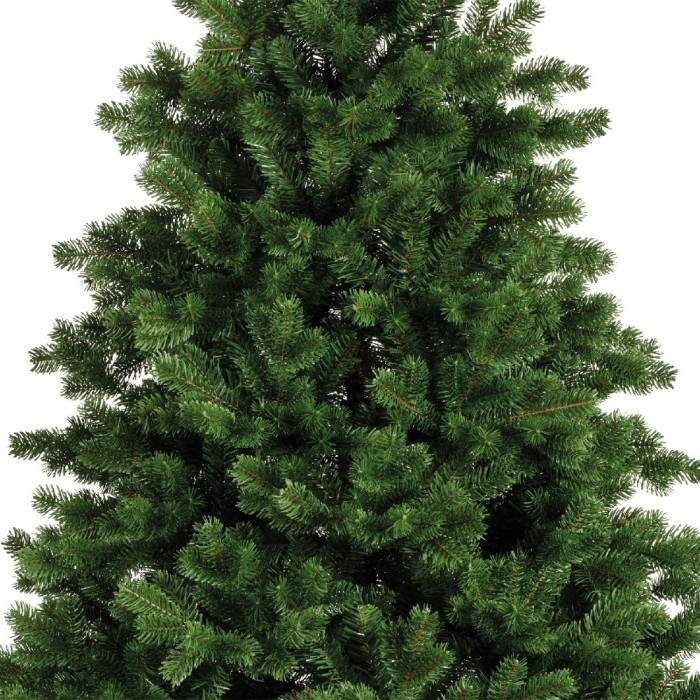 ABETE HOLLIMONT H.240CM. VERDE